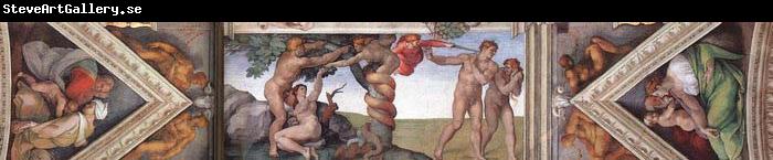 Michelangelo Buonarroti The fourth bay of the ceiling